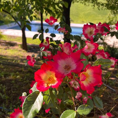 Agriturismo San Fabio Castelnuovo Berardenga Ngoại thất bức ảnh