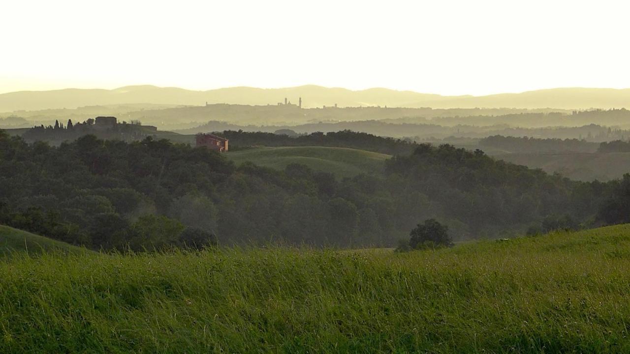 Agriturismo San Fabio Castelnuovo Berardenga Ngoại thất bức ảnh
