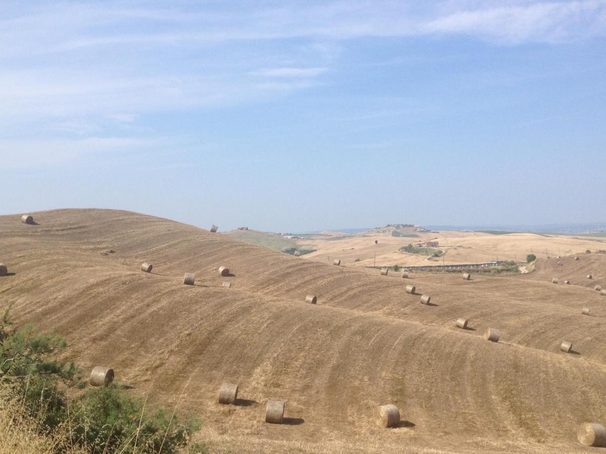 Agriturismo San Fabio Castelnuovo Berardenga Ngoại thất bức ảnh